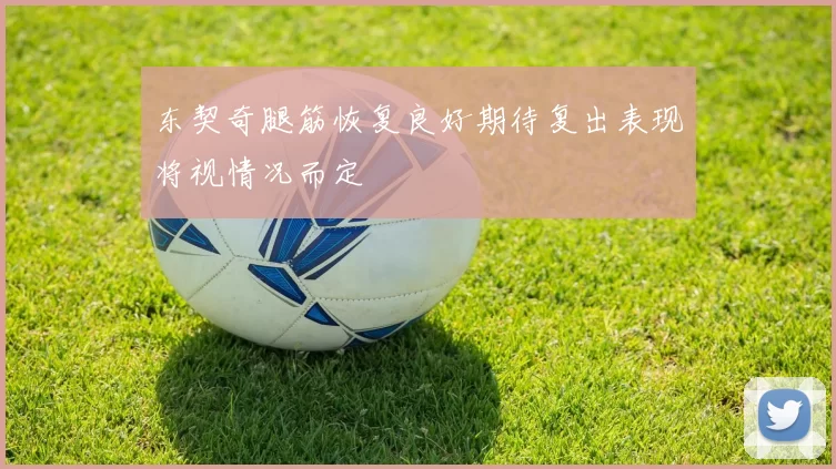 东契奇腿筋恢复良好期待复出表现将视情况而定